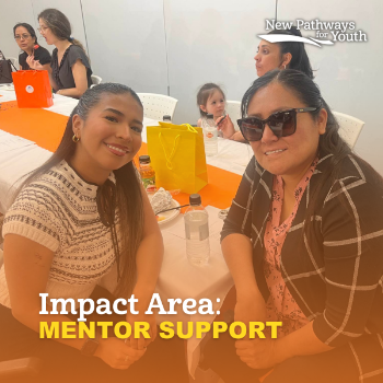 Mentor Support