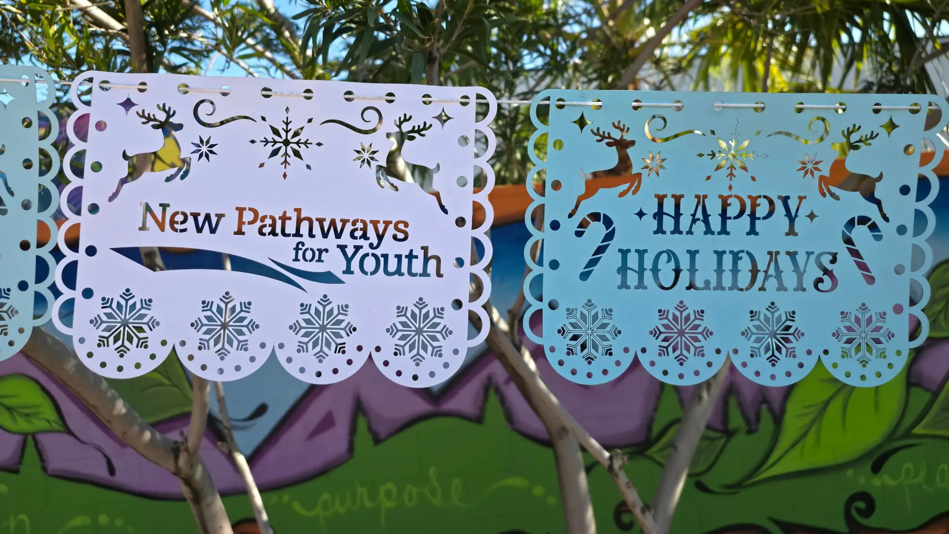 New Pathways for Youth | Joy and Purpose – Youth Mentor Program in Phoenix, Arizona